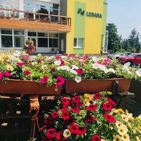 Hotel Lesana Stará Lesná Exteriér fotografie